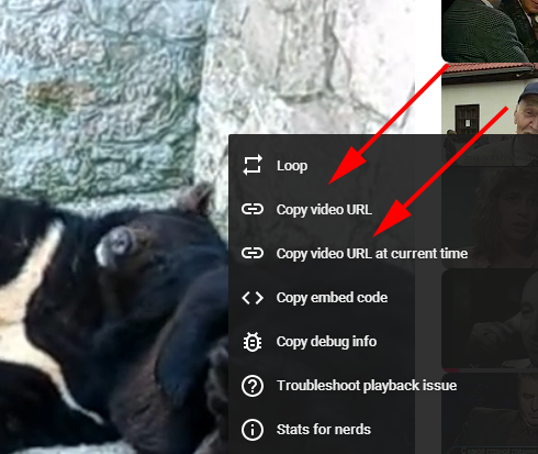 YouTube — Right-button mouse click menu